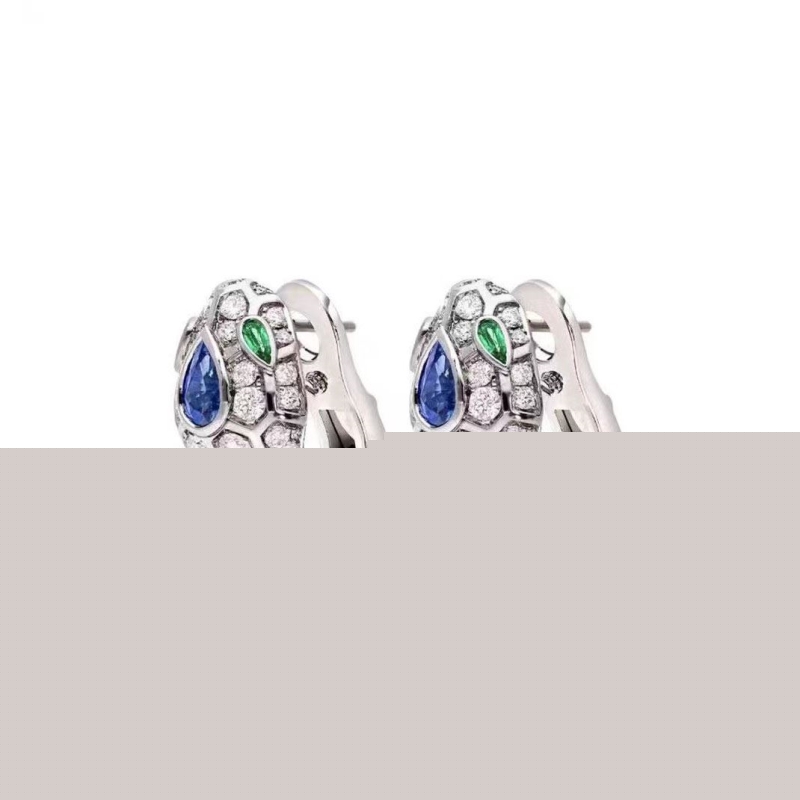Bo*te*ga venenta earrings